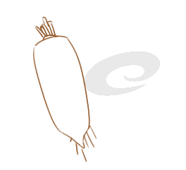 渲影(烘焙渲染软件)