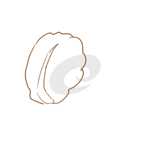 idown万用下载器