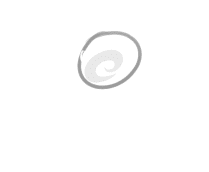 QQ桌面2017手机版