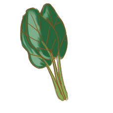 vc2008运行库64位