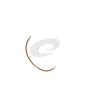 4G娱乐官方下载V4.8专业版