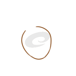 太阳GGappV3.7专业版