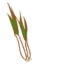 ebpayappV8.8专业版