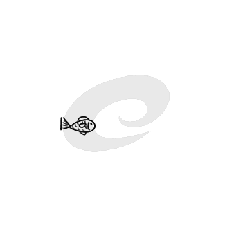 谋杀