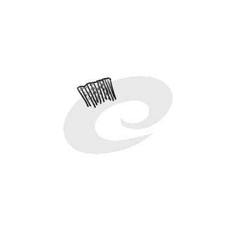 小熊洗车APP