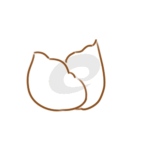 小熊洗车APP