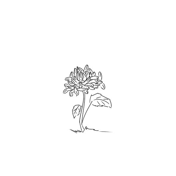 小熊洗车APP
