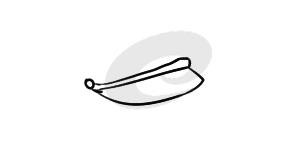 开云官方体育app下载V2.5专业版