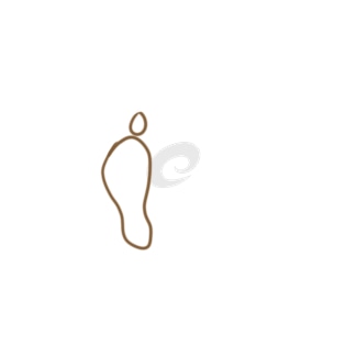 开云kaiyun相关网站