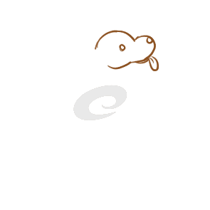 小熊洗车APP