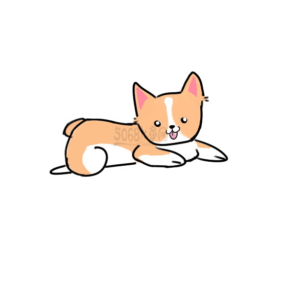 TW体育app