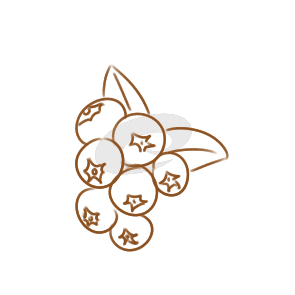 宏碁Acer 4741G驱动合集 for winxp