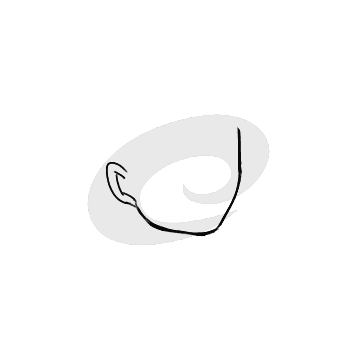 HP Presario V3000无线网卡驱动