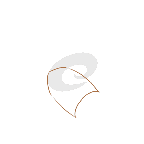 小熊洗车APP