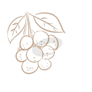 河南汽车维修平台APP