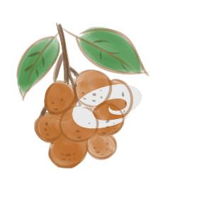 kaiyun.cn网页版安卓版二维码