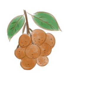 开云app官方在线登陆 2025最新版 技能学习与职业界面