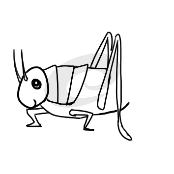 kaiyun开云手机登录安卓版二维码