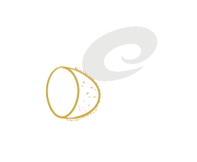 QSV视频格式转换器