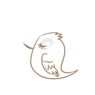 小熊洗车APP