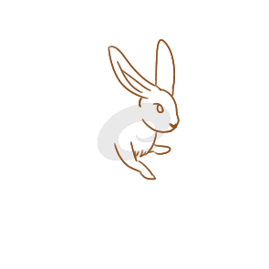 小熊洗车APP