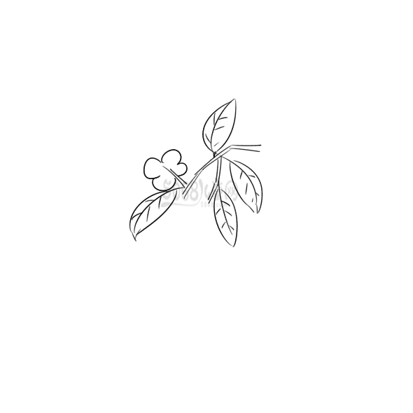 河南汽车维修平台APP