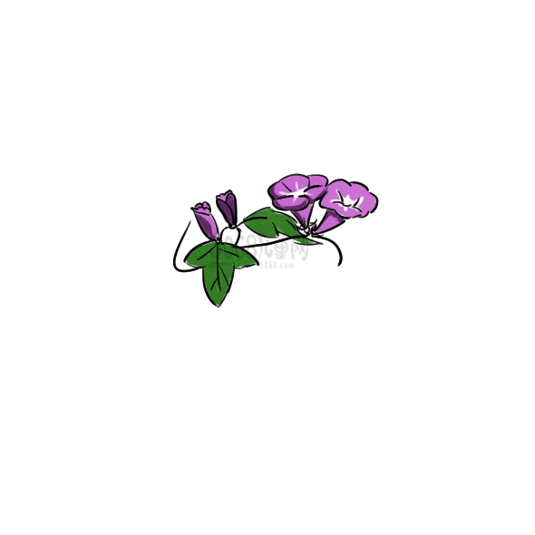 小熊洗车APP