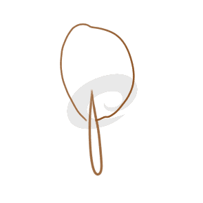 赏金国际appV6.5专业版