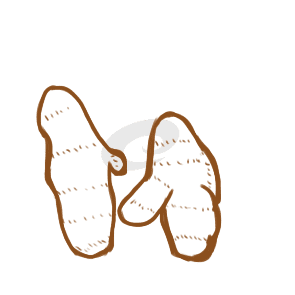 一分三快appV5.1专业版