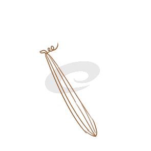 澳门黄金城苹果下载V1.3专业版