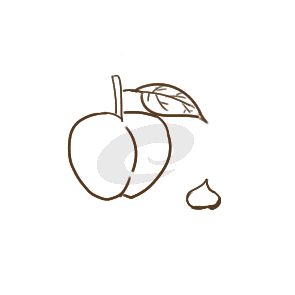 小熊洗车APP
