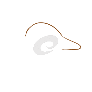 携手医访医生端最新版