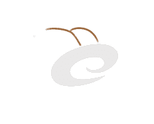 sdyappV7.4专业版