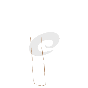 Barcodefont英文字体