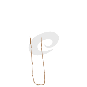 秦时明月卡牌版