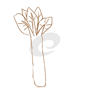 18新利体育登录入口V6.6专业版