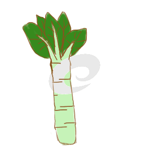 boyuappV6.6专业版