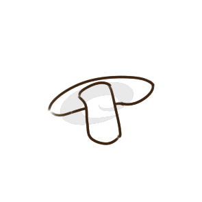 半岛体育登录入口V2.1专业版