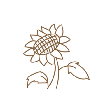 eman安卓版