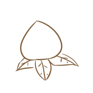 小熊洗车APP