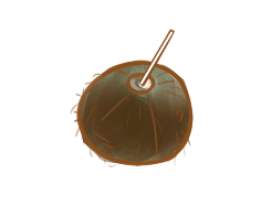 raw therapee中文版