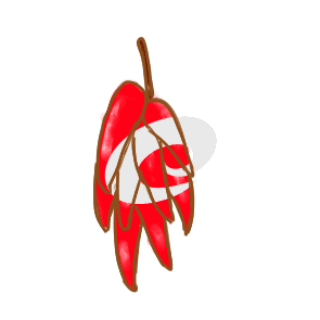 kaiyun体育app官网app下载