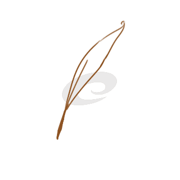 实达STAR AR970平推票据打印机驱动程序