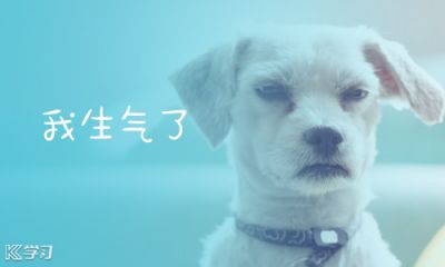 开云手机入口官网下载