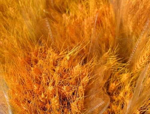 开云kaiyunapp下载方式V3.5专业版