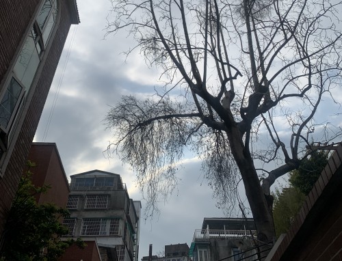 贵州药材APP