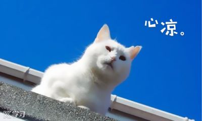 外围足球appV8.5专业版